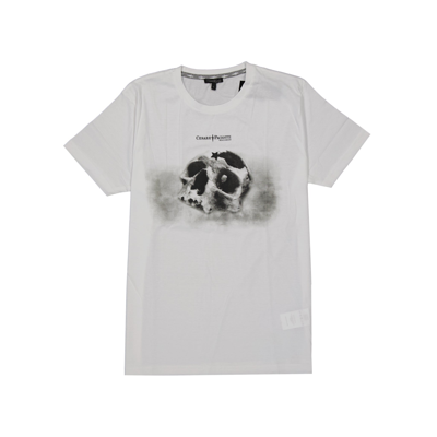 Shop Paciotti Cesare Cotton T Shirt