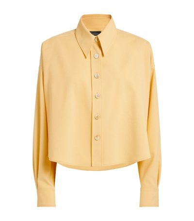 Shop Fabiana Filippi Cropped Swing Shirt In Yellow