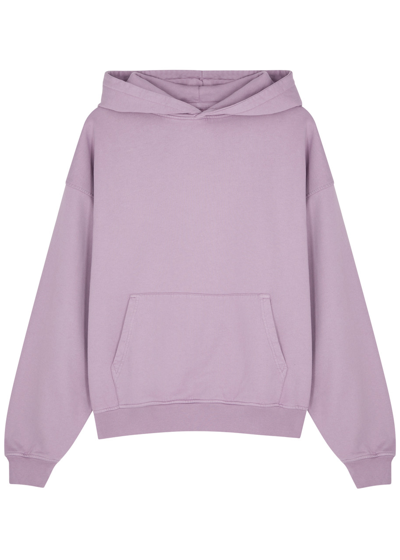 Shop Colorful Standard Hooded Cotton Sweatshirt In Purple