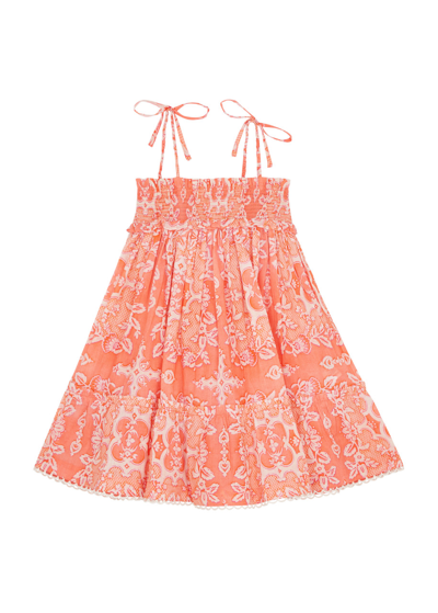 Shop Zimmermann Kids Raie Printed Cotton Dress In Pink