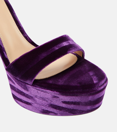 Shop Gianvito Rossi Holly Velvet Platform Sandals In Purple