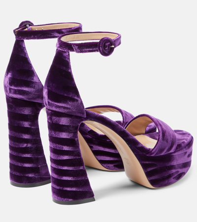 Shop Gianvito Rossi Holly Velvet Platform Sandals In Purple