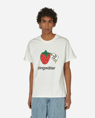 Shop Stingwater Very Speshal Organic Strawberry T-shirt In White