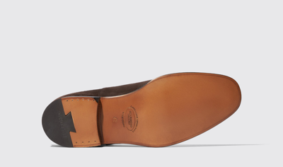 Scarosso Salvatore Oxfords In Brown - Suede