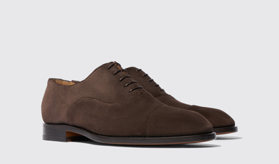 Shop Scarosso Salvatore Brown Suede - Man Oxfords Brown In Brown - Suede