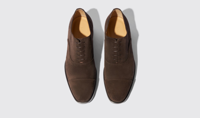 Shop Scarosso Salvatore Brown Suede - Man Oxfords Brown In Brown - Suede