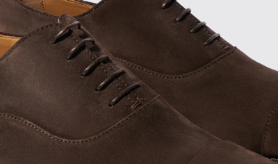 Shop Scarosso Salvatore Brown Suede - Man Oxfords Brown In Brown - Suede