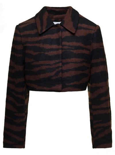 Shop Ganni Brown Cropped Jacket With Zebra Motif In Wool In Black