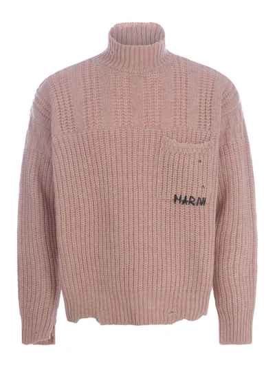 Shop Marni Sweaters Pink
