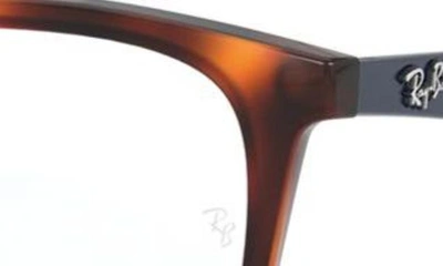 Shop Ray Ban 52mm Optical Glasses In Lite Havana