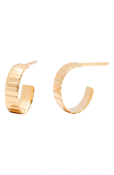 Shop Brook & York Natalie Hoop Earrings In Gold