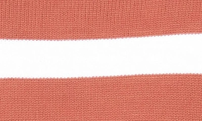 English Factory Stripe Turtleneck Sweater In Camel/ White