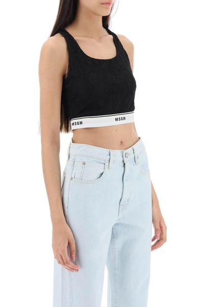 Shop Msgm Sports Bra In Lace With Logoed Band