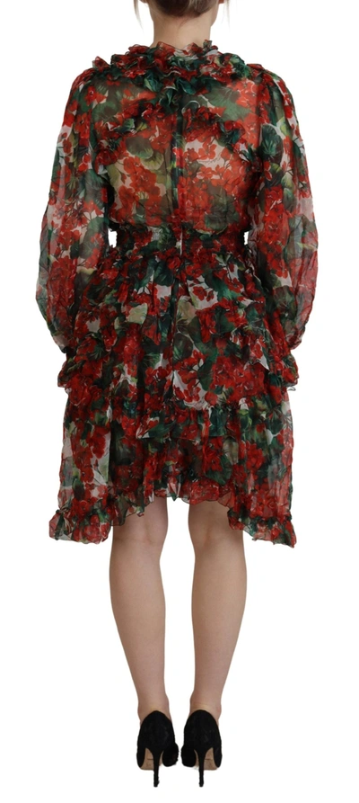 Dolce & Gabbana Multicolor Geranium A-line Knee Length Dress In Multicolor