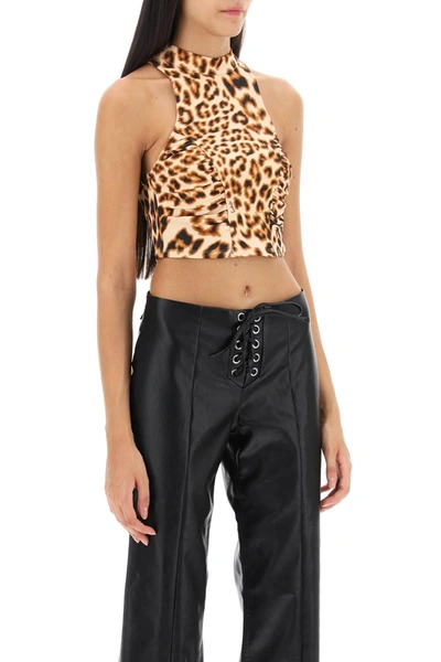 Shop Rotate Birger Christensen Rotate Leopard Print Jersey Crop Top