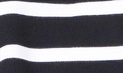 Grey Lab Stripe Turtleneck Crop Sweater In Black/ White