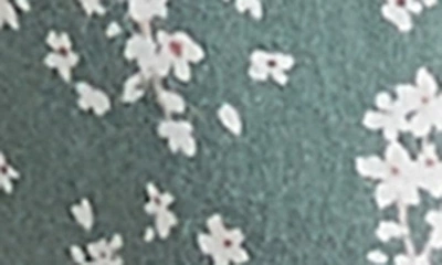 Shop Papinelle Cheri Blossom Cotton Pajamas In Alpine