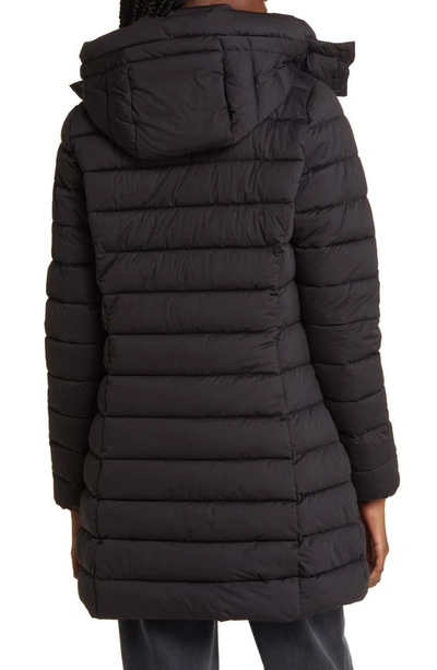 Shop Save The Duck Dorothy Quilted Puffer Coat In Black