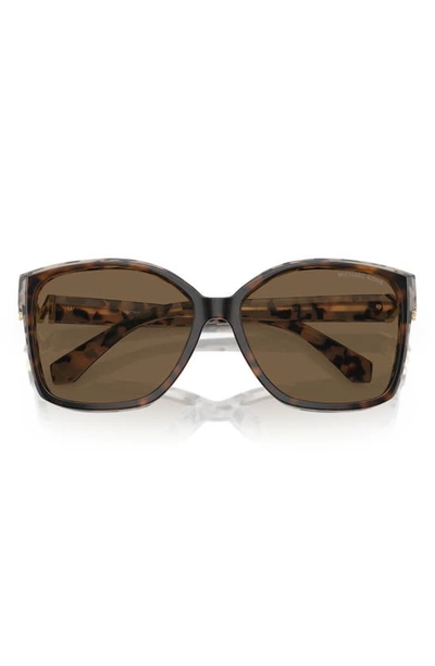 Michael Kors Malia 58mm Square Sunglasses In Brown