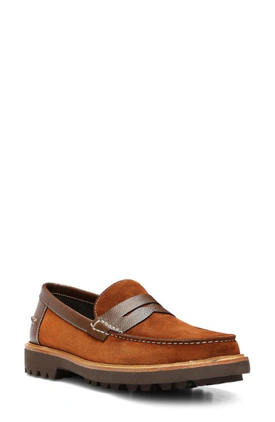 Shop Donald Pliner Jimmy Penny Loafer In Brown