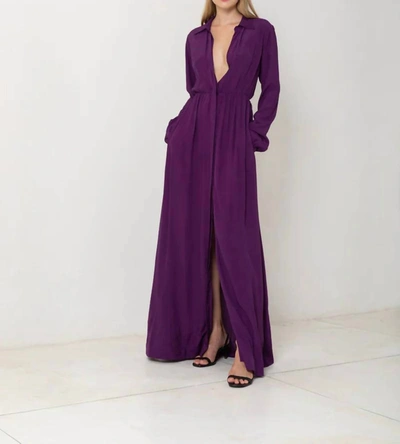 S/w/f Long Sleeve Button Up Maxi Dress In Plum In Pink