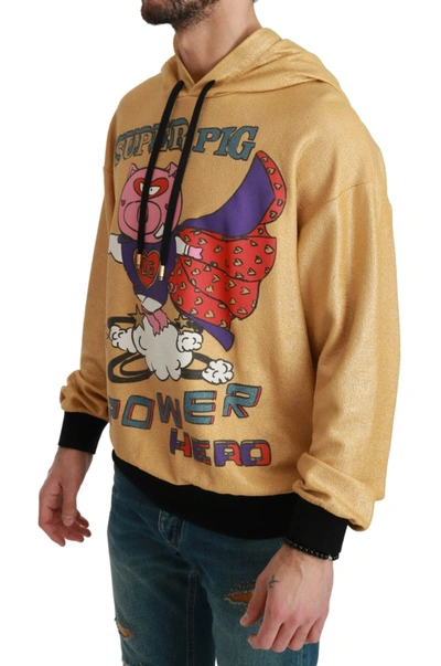 Dolce & Gabbana Gold Pig Of The Year Hooded Sweater In Gold