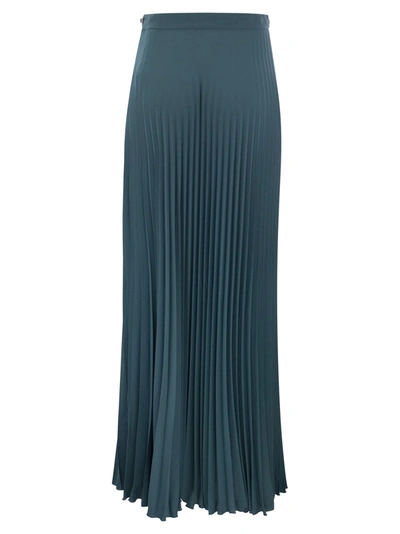 Shop Elisabetta Franchi Long Pleated Georgette Skirt With Embroidery