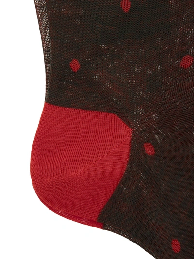 Shop Gallo Polka Dot Cotton Long Socks