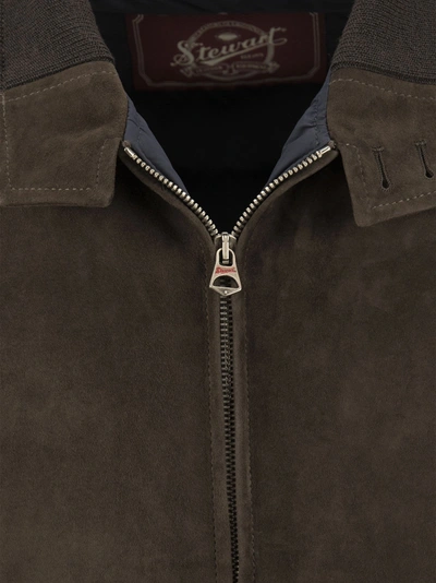 Shop Stewart Suede Leather Jacket