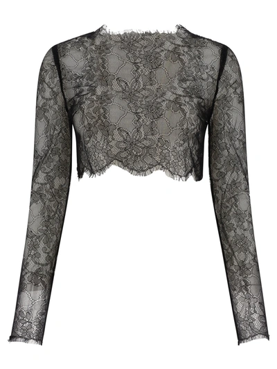 Shop Dolce & Gabbana Sheer Lace Cropped Top