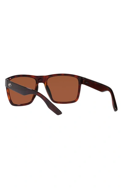 Shop Costa Del Mar Paunch Xl 59mm Square Sunglasses In Tortoise