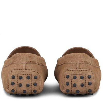 Tod's Pink Gommino Loafers In Suede Woman In Brown