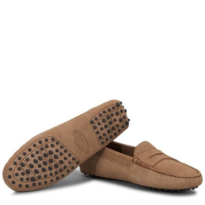 Tod's Pink Gommino Loafers In Suede Woman In Brown