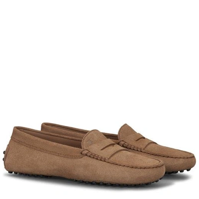 Tod's Pink Gommino Loafers In Suede Woman In Brown