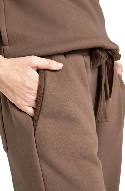 Splendid Goldie Drawstring Joggers In Toffee