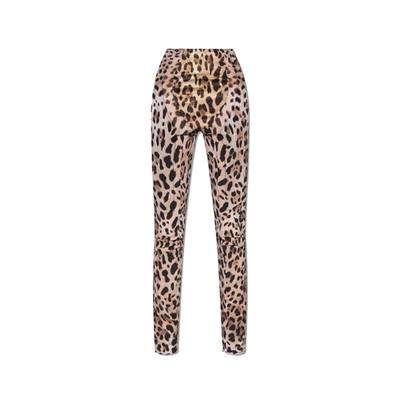 Shop Dolce & Gabbana X Kim Leopard Pants