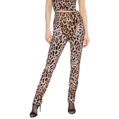 Shop Dolce & Gabbana X Kim Leopard Pants