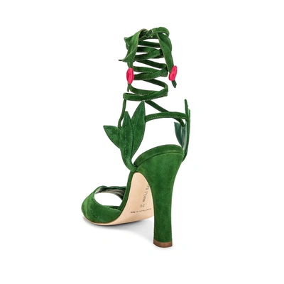 Manolo Blahnik Ossie 105mm Suede Lace-up Sandals