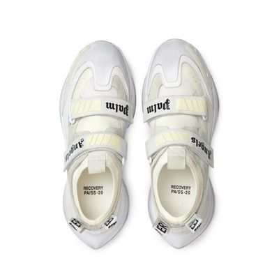 Shop Palm Angels Logo Sneakers