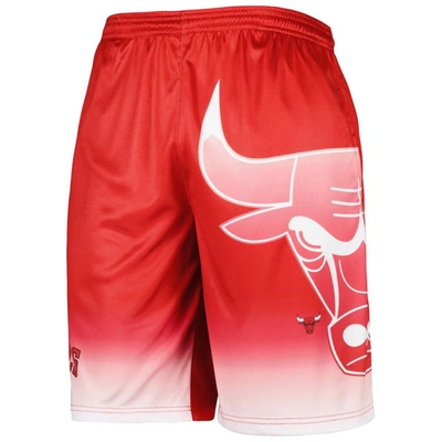 Shop Fanatics Branded Red Chicago Bulls Graphic Shorts