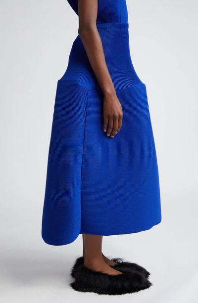 Shop Melitta Baumeister Ripple Pleated A-line Skirt In Blue Ripple