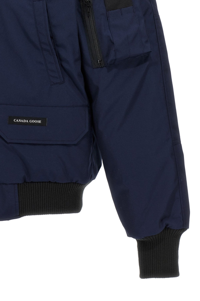 Shop Canada Goose Men 'chilliwack' Down Jacket In Blue