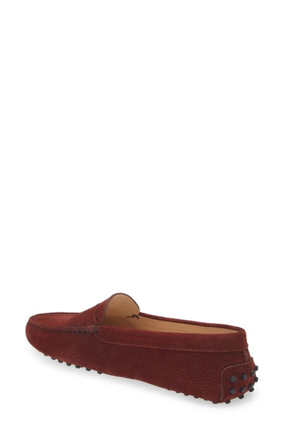 Shop Tod's Gommini Driving Loafer In Granada Red