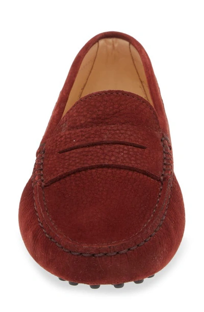Shop Tod's Gommini Driving Loafer In Granada Red