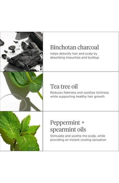 Briogeo Scalp Revival Charcoal + Tea Tree Cooling Hydration Mask For Dry, Itchy Scalp 6 oz/ 177 ml
