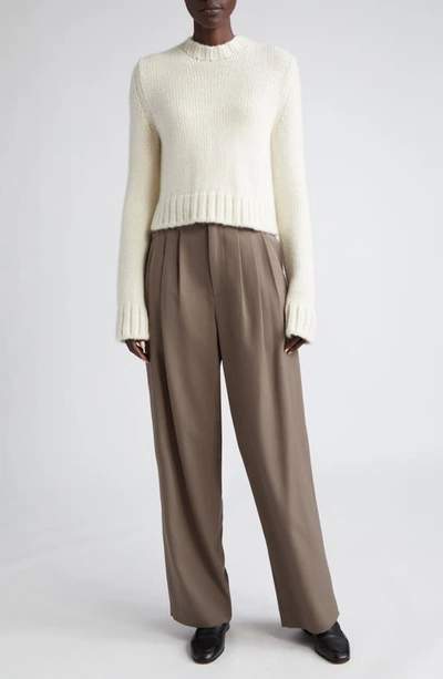Shop The Row Rufos Pleated Pants In Taupe