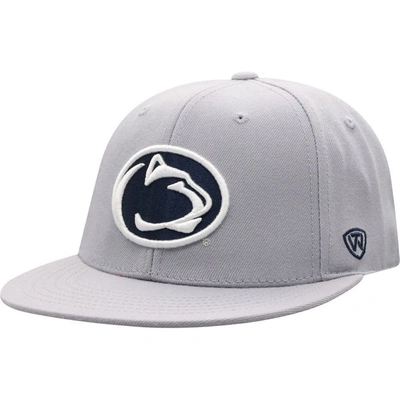 Shop Top Of The World Gray Penn State Nittany Lions Fitted Hat