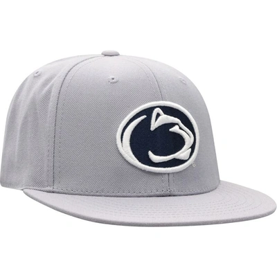 Shop Top Of The World Gray Penn State Nittany Lions Fitted Hat