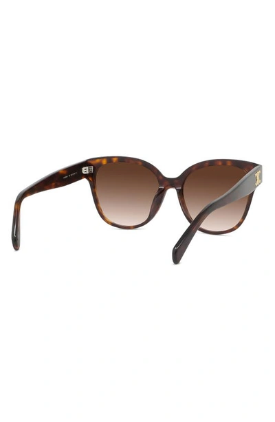 Shop Celine 58mm Gradient Cat Eye Sunglasses In Dark Havana / Gradient Brown