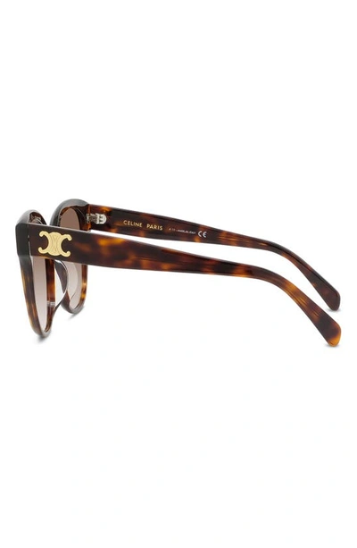 Shop Celine 58mm Gradient Cat Eye Sunglasses In Dark Havana / Gradient Brown